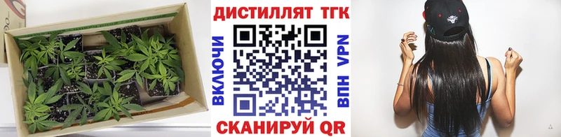 ТГК жижа Княгинино