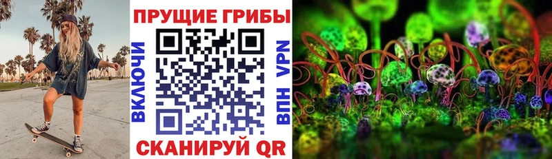 Галлюциногенные грибы прущие грибы  где найти наркотики  Княгинино 